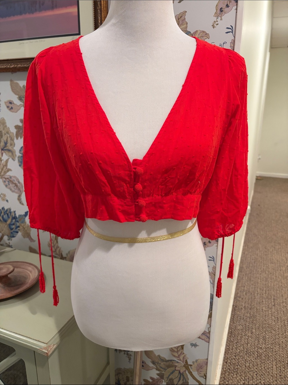Farm Rio Red Swiss Dot Cropped Blouse V-Neck Tassel Peasant Top